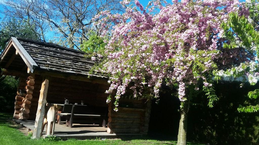 Apartament Kienasthof Bressanone Zewnętrze zdjęcie
